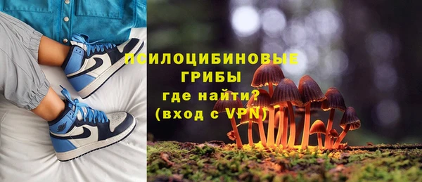 прущая мука Алексин